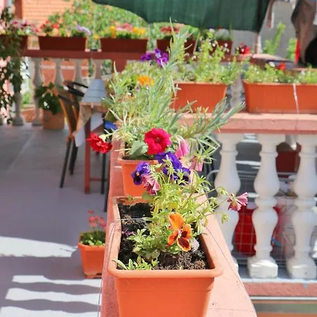 Apartment Apartman Ivica